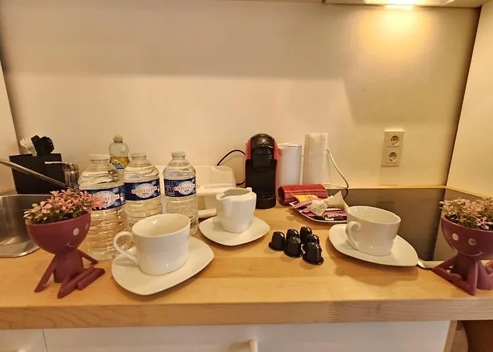 Urban Light Opening Onto A Terrace Apartment *